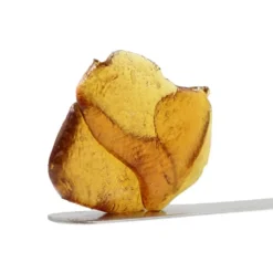 TRX Fatty Arbuckle #2 New Arrivals