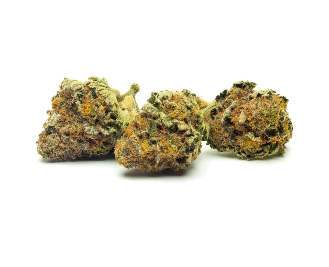 New Arrivals FIGR Go Elevate - Mmmosa 4 New Arrivals FIGR Go Elevate - Mmmosa