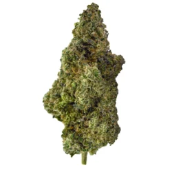 Ghost Drops First Class Funk