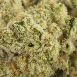 Flint & Embers Orion New Arrivals 7 Flint & Embers Orion New Arrivals