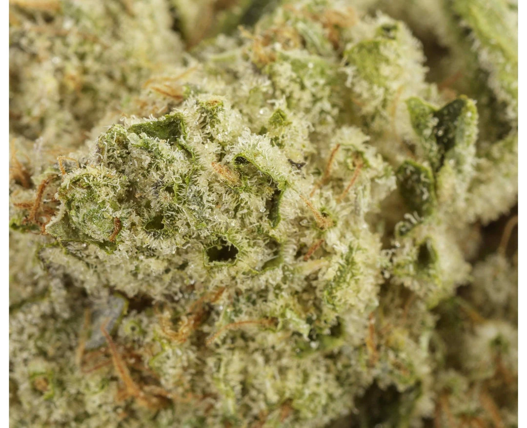 Flint & Embers Orion New Arrivals 5 Flint & Embers Orion New Arrivals