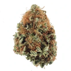 18twelve New Arrivals Frozen Grapes