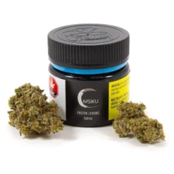 Msiku New Arrivals Frozen Lemons