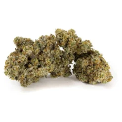 Msiku New Arrivals Frozen Lemons