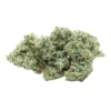 Greybeard Fruity P. OG New Arrivals