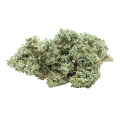 Greybeard Fruity P. OG New Arrivals