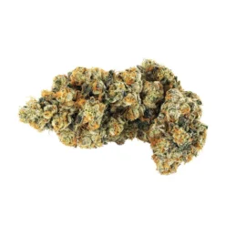 Broken Coast Gabriola - Frost Monster New Arrivals