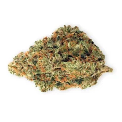 Highland Grow Gaelic Fire