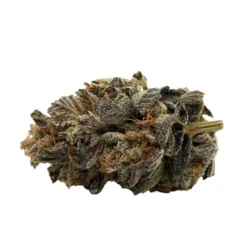 New Arrivals Gage Cannabis Co. Gelato