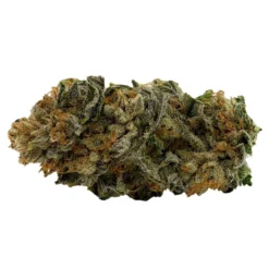 New Arrivals Gage Cannabis Co. JD OG