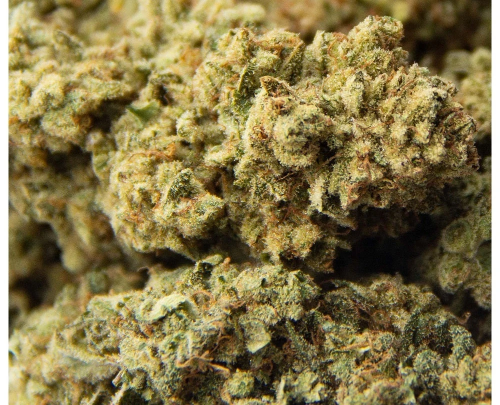 Virtue New Arrivals Galactic Glue 5 Virtue New Arrivals Galactic Glue