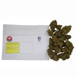 Virtue New Arrivals Galactic Glue