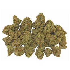 Virtue New Arrivals Galactic Glue