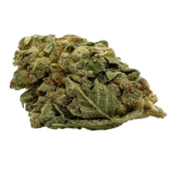 New Arrivals Thumbs Up Brand Garlic Z