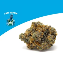 Cookies Gary Payton New Arrivals