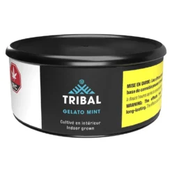 Tribal Gelato Mint