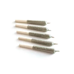 Real J GG4 PR 5 X 0.5 G