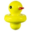 DankStop Glass Ducky Carb Cap New Arrivals
