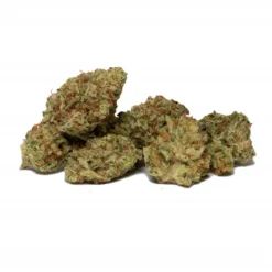 Good Buds Co Gluerangutan