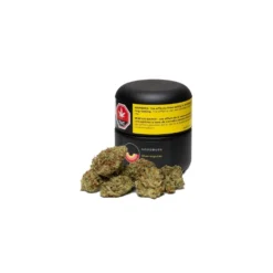 Good Buds Co Glurangatang New Arrivals