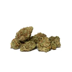 Good Buds Co Glurangatang New Arrivals