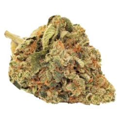 FIGR New Arrivals Go Steady - Sunshine Bubble Kush