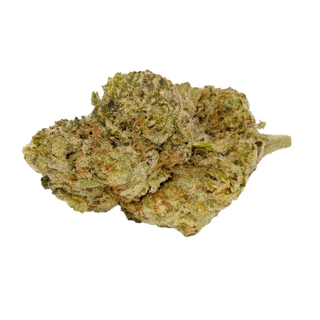 Wagners Golden Ghost OG 3 Wagners Golden Ghost OG