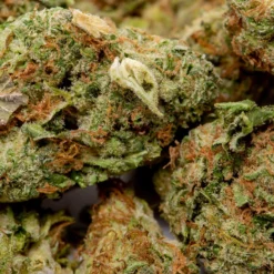 Good Supply Dealer's Pick - Hybrid New Arrivals