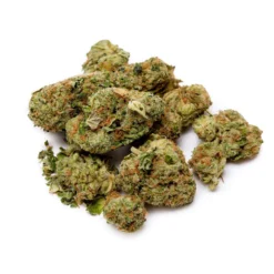 Good Supply Dealer's Pick - Hybrid New Arrivals