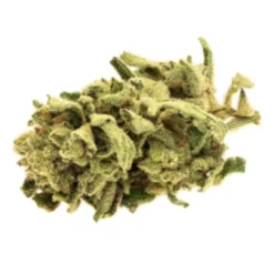 Good Supply Monkey Glue PR 1 X 1 G Pre-Rolls