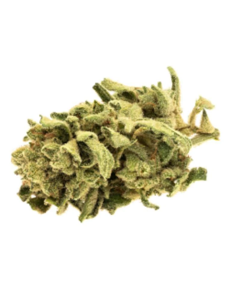 Good Supply Monkey Glue PR 1 X 1 G Pre-Rolls 3 Good Supply Monkey Glue PR 1 X 1 G Pre-Rolls