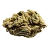 Station House New Arrivals Gorilla Glue #4