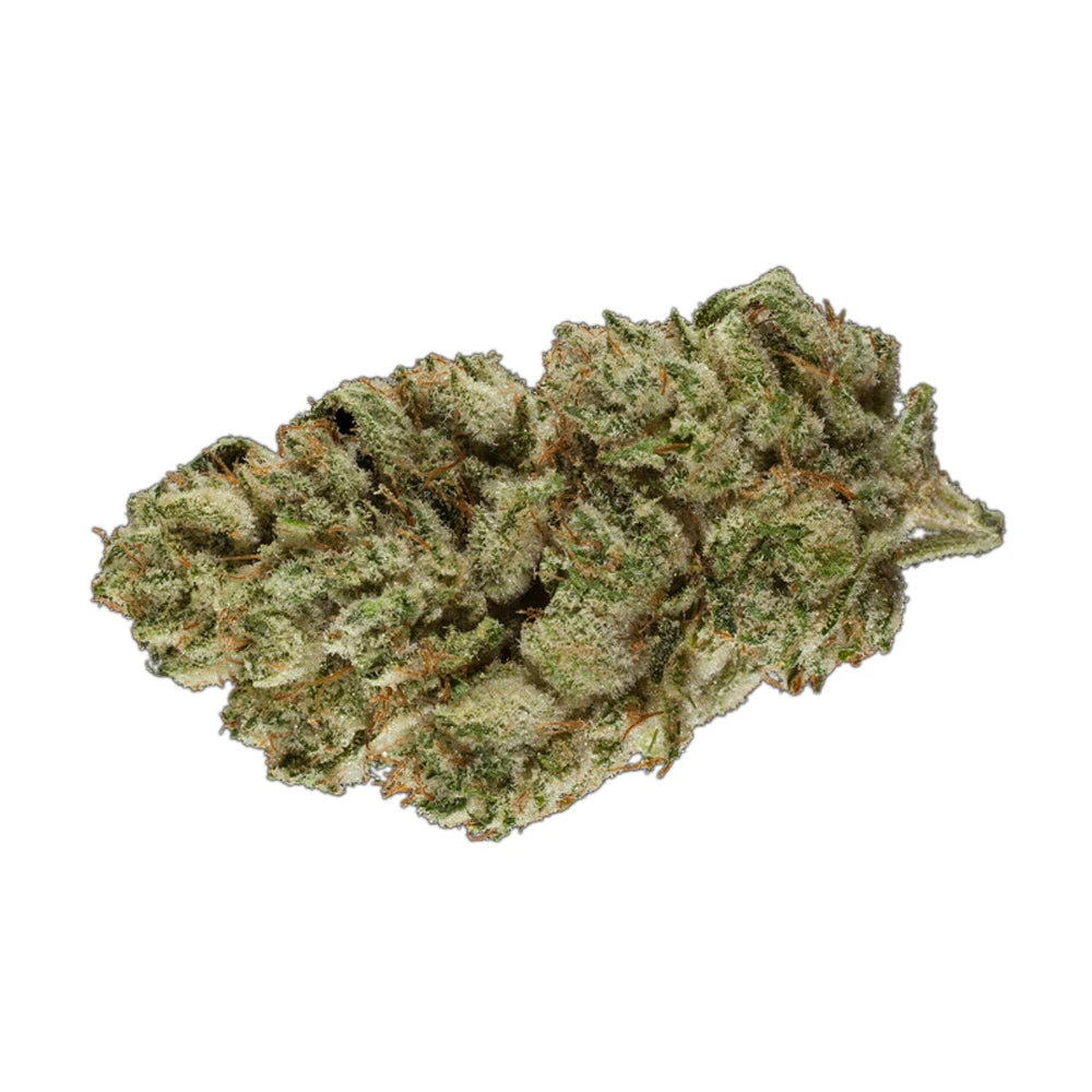 Toucan Abyss Gorilla Glue 3 Toucan Abyss Gorilla Glue