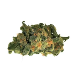 48North Granddaddy Purple New Arrivals