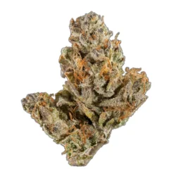 Qwest New Arrivals Grape Pie