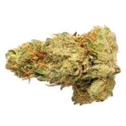 New Arrivals Grasslands Sativa