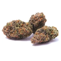 Peers Cannabis New Arrivals Green Cush