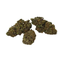 New Arrivals Greenade Querkle