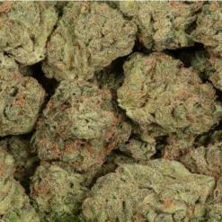 GreenSeal Chemdawg Ultra New Arrivals