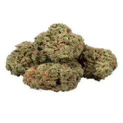 GreenSeal Chemdawg Ultra New Arrivals