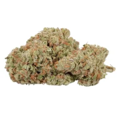 New Arrivals GreenSeal Gorilla Berry