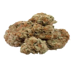 New Arrivals GreenSeal Mango Kush