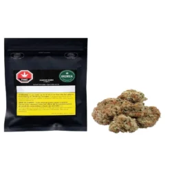 New Arrivals GreenSeal Mango Kush