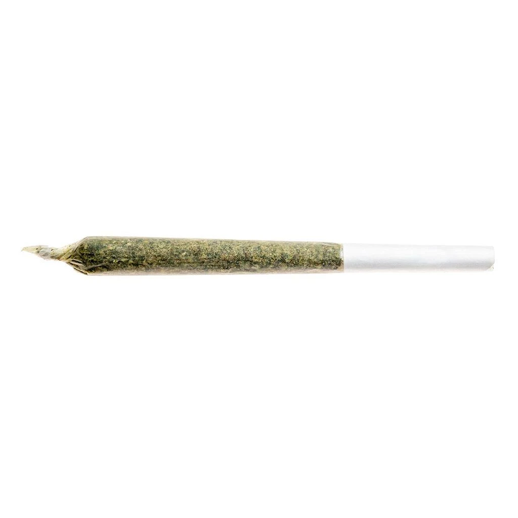 Good Supply Grower's Choice Indica PR 1 X 1 G Pre-Rolls 4 Good Supply Grower's Choice Indica PR 1 X 1 G Pre-Rolls