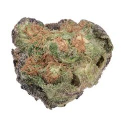 New Arrivals Haven St No. 411 Cruise Control