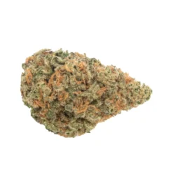 New Arrivals Haven St No. 421 Twilight