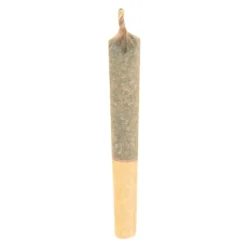 Haven St No. 515 Noisy Neighbour 7 Pack Pre Roll (.5g)