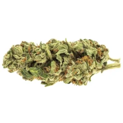 Riff Hawaii Heartbreak