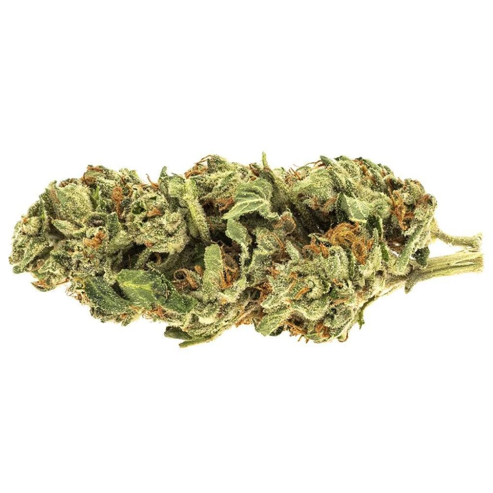 Riff Hawaii Heartbreak 3 Riff Hawaii Heartbreak