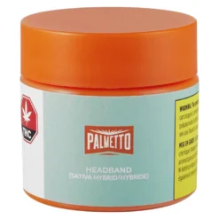 Palmetto New Arrivals Headband